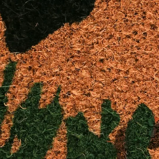 DII&reg; Bear Country Doormat {3}