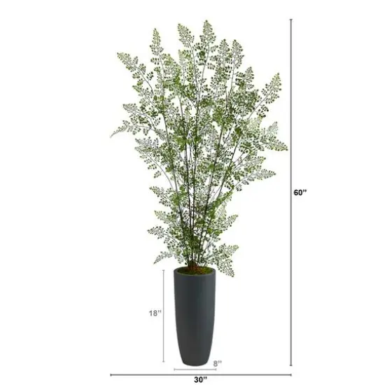 5ft. Ruffle Fern Tree in Gray Planter {3}