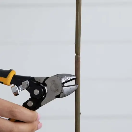 31" Yellow Lily Flower Stems, 3ct. {7}