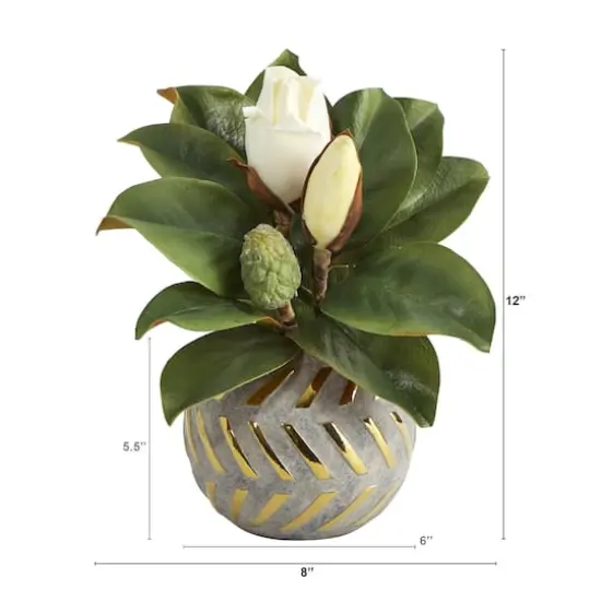 12in. Magnolia in Planter with Gold Trim {3}