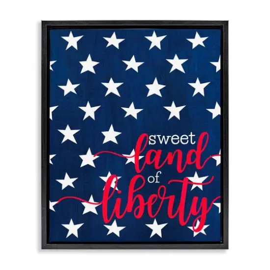 Stupell Industries Sweet Land Of Liberty Americana Floater Framed Art Black {1}