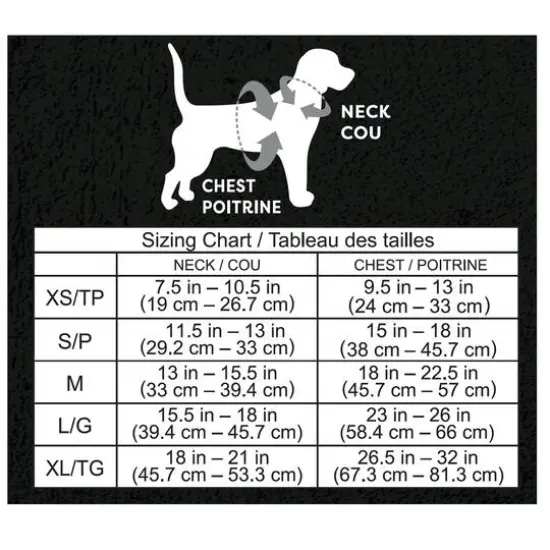 Bat Dog Costume by Ashland® {4}