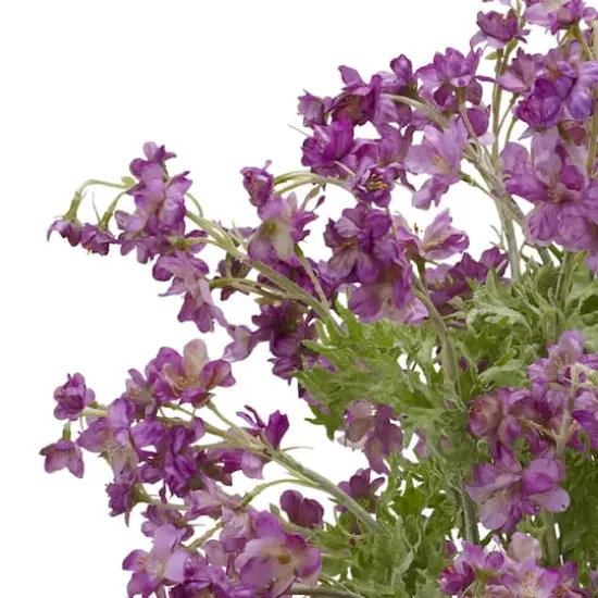 24" Dancing Daisy Arrangement in Vase Purple {4}