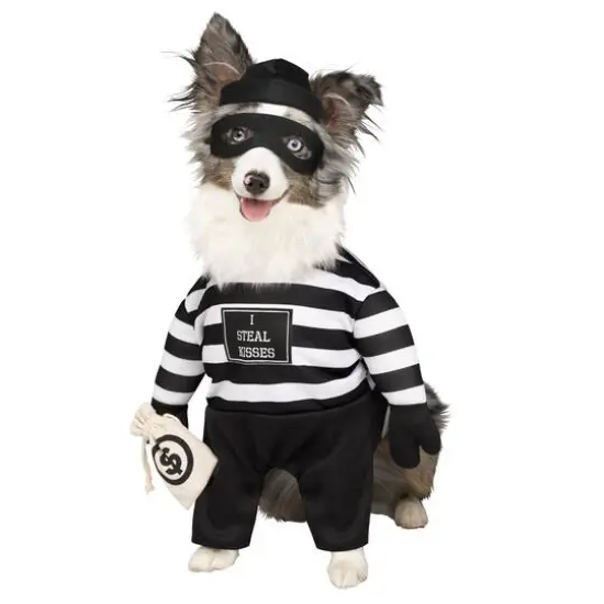 Robber Dog Costume by Ashland® {1}