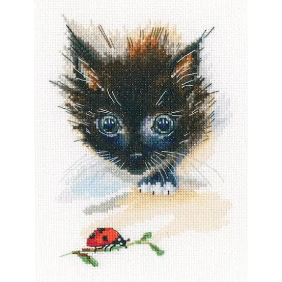 RTO Ladybug & Super Cat Cross Stitch Kit {1}