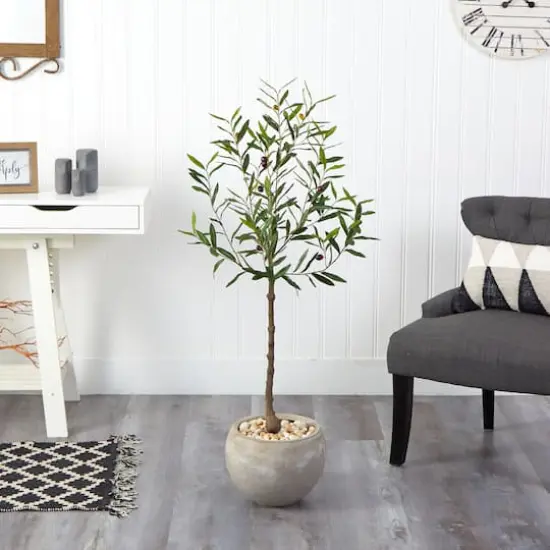 4ft. Olive Tree in Sand Colored Planter {4}
