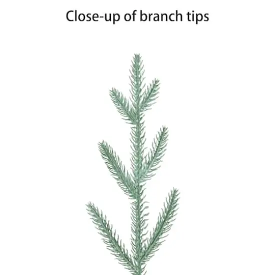 3ft. Pre-Lit Blue Arctic Fir Artificial Potted Christmas Tree, Warm White LED Lights {6}