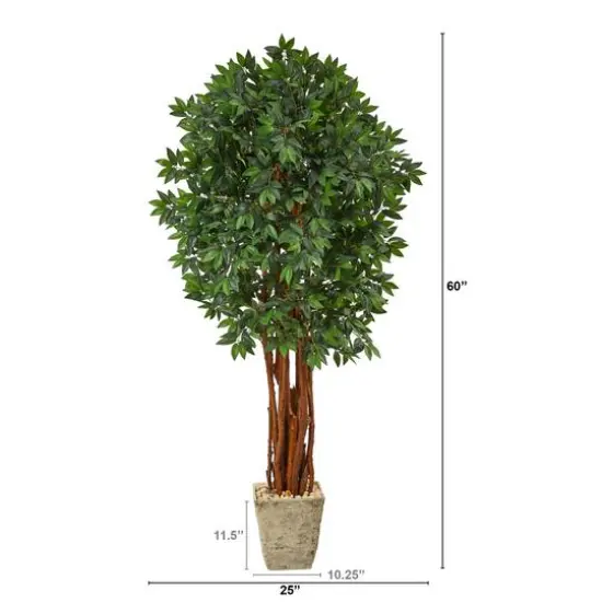 6ft. Lychee Tree in Country White Planter {3}