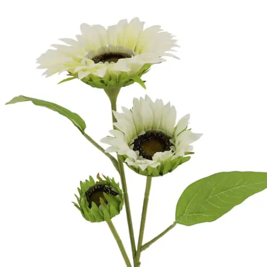 34" Cream Sunflower Stem by Ashland&reg; {3}