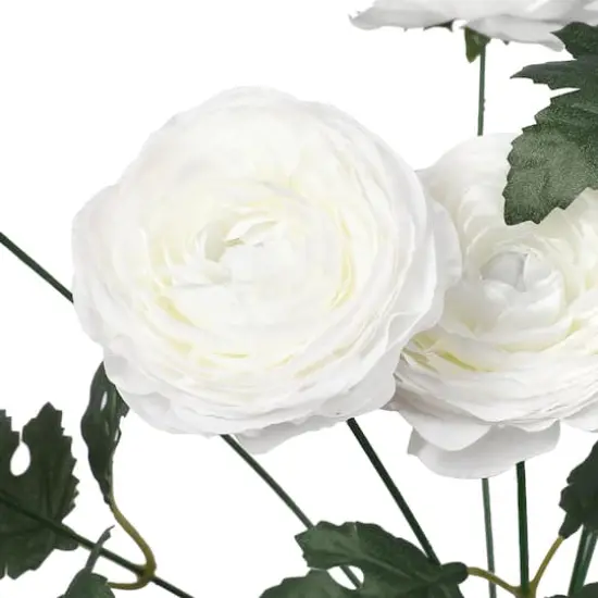 18" Ranunculus Bush by Ashland&reg; White {3}