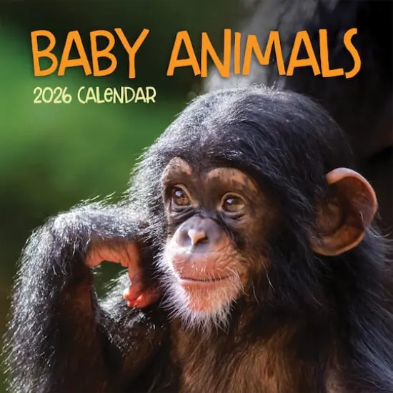 2026 Baby Animals Wall Calendar {1}
