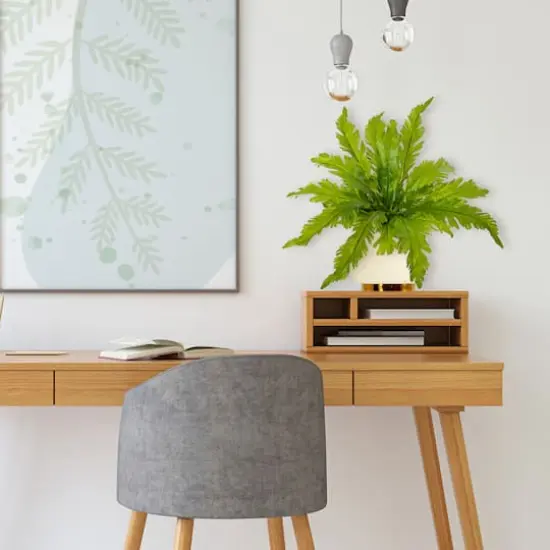 Green Fern Pick, 6ct. {3}