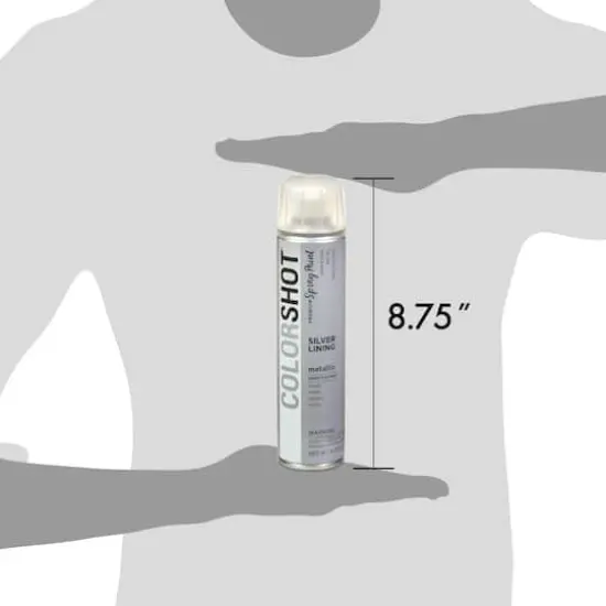 COLORSHOT&reg; Premium Metallic Spray Paint Silver Lining {7}