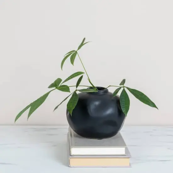 Hello Honey&reg; 5.5" Matte Black Pinched Organic Shape Terracotta Vase {3}