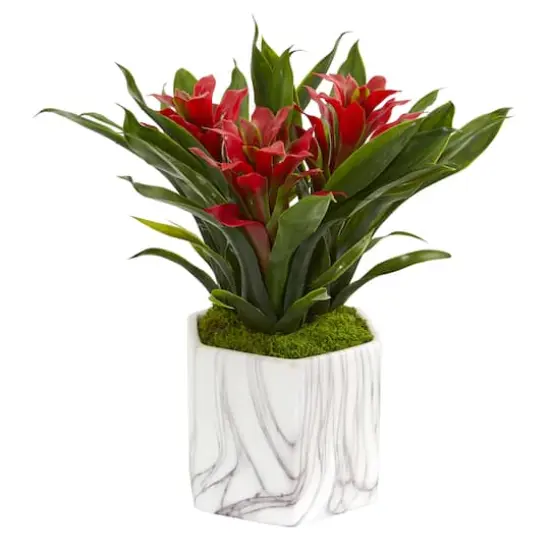 11" Bromeliad Plant in Marble Finished Vase {1}