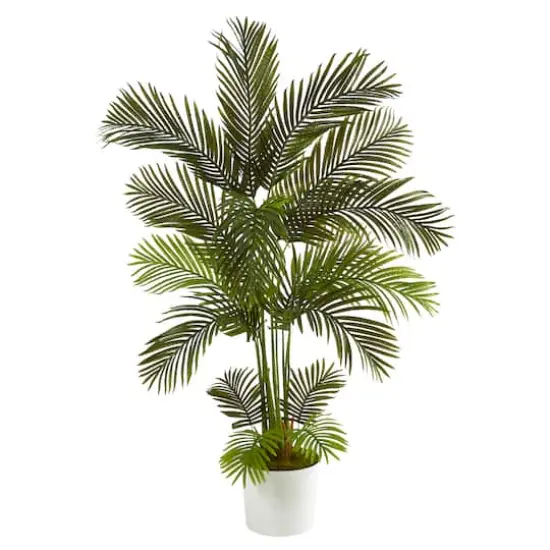 5.5ft. Areca Palm Tree in White Tin Planter {1}
