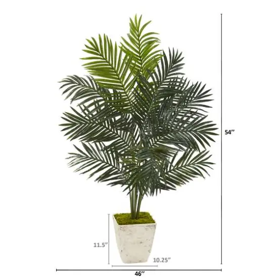 4.5ft. Paradise Palm Tree in White Planter {3}