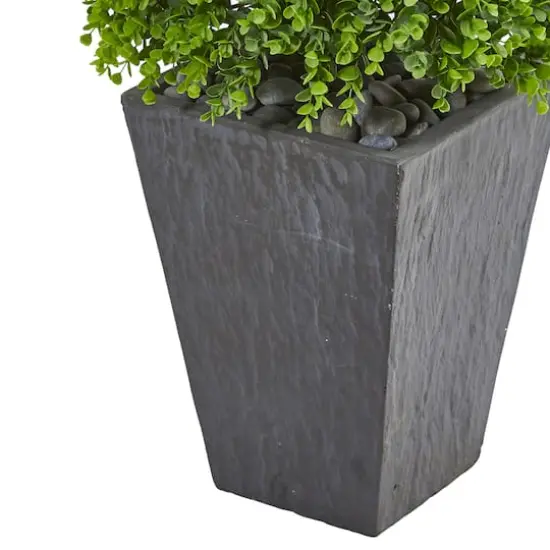 5ft. Eucalyptus Topiary Tree in Slate Planter {4}
