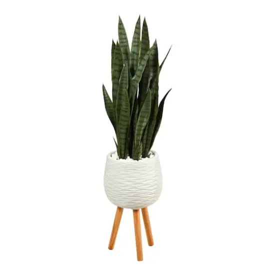 46" Sansevieria Plant in White Planter with Stand {1}