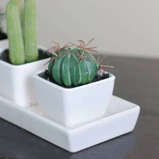 3.5" Faux Green Cactus with Spikes in White Pot {3}