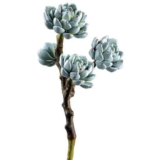 Green & Red Speckled Hen & Chicks Pick  {1}