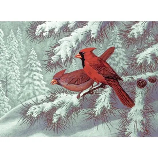 Royal Langnickel&reg; Cardinals Painting by Numbers Kit {1}
