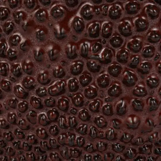 Hello Honey® 6" Brown Reactive Glaze Stoneware Organic Shaped Planter with Raised Dots {6}