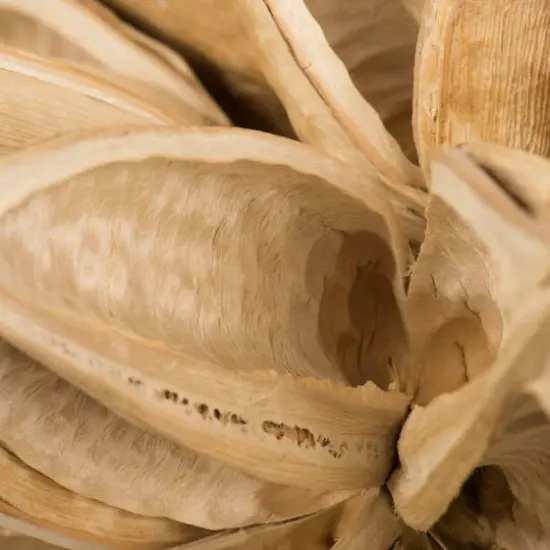 Extra Large Bleached Star Pod {5}