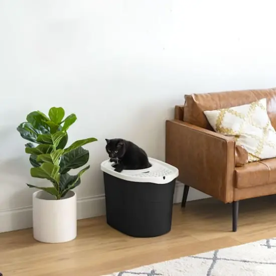 Iris&reg;Large Top Entry Cat Litter Box with Scoop, Black {3}