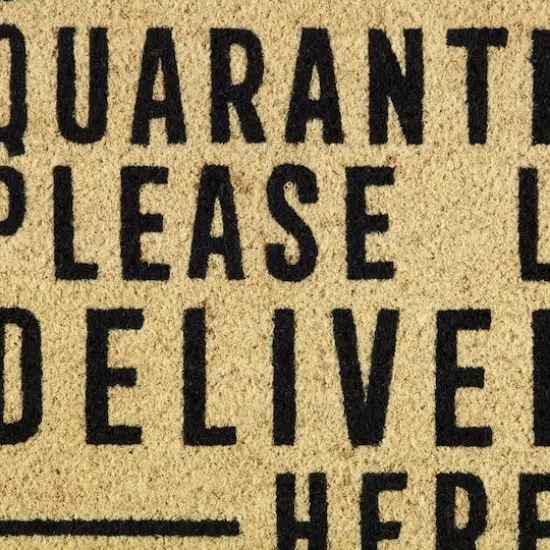 DII&reg; Quarantining Deliveries Here Doormat {3}