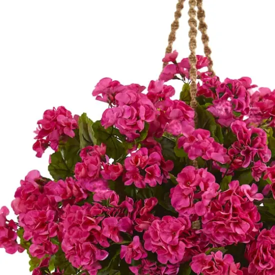 19'' Geranium Hanging Basket {3}