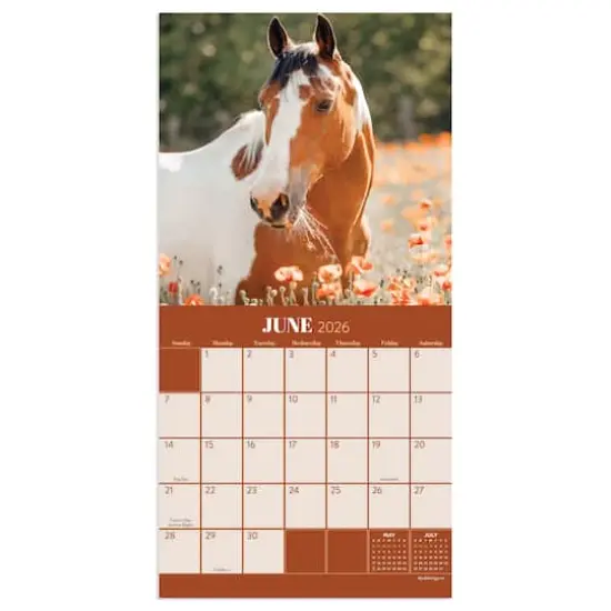 2026 Horses Mini Calendar {3}