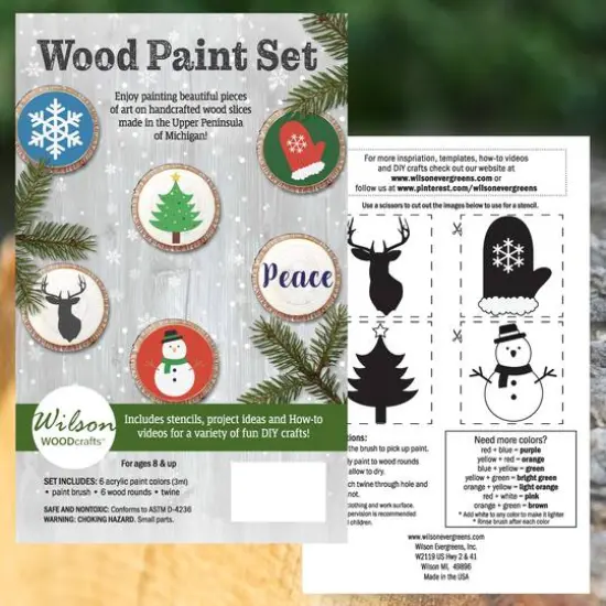 Wilson&reg; Enterprises Wood Paint Set Winter {4}