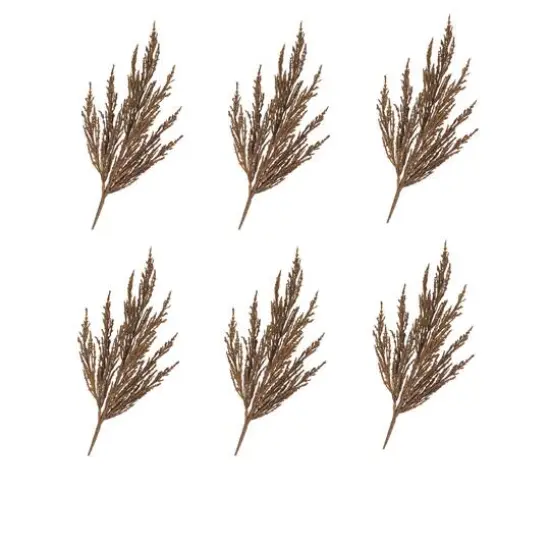 Brown Harvest Plume Stems, 6ct. {1}