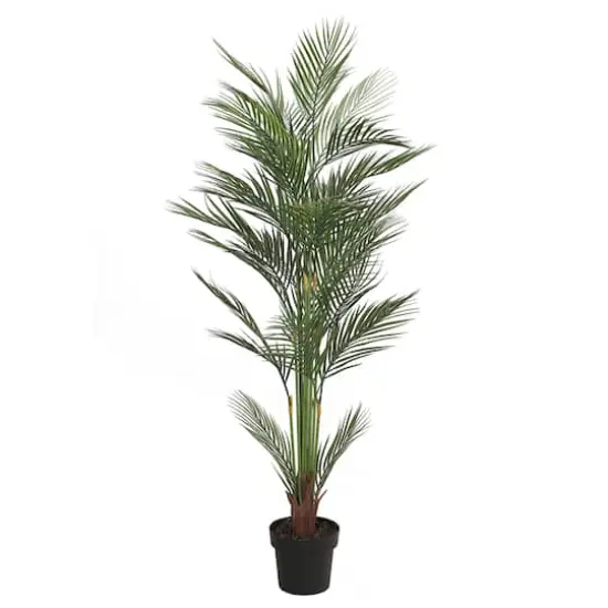 5.25ft. Potted Areca Palm Tree {1}