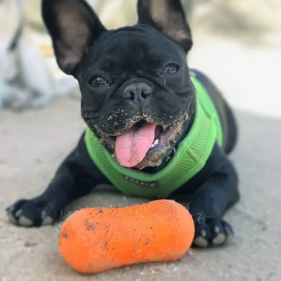 Ruff Dawg&trade; Weenut Crunch Rubber Indestructible Retrieving Dog Toy {5}