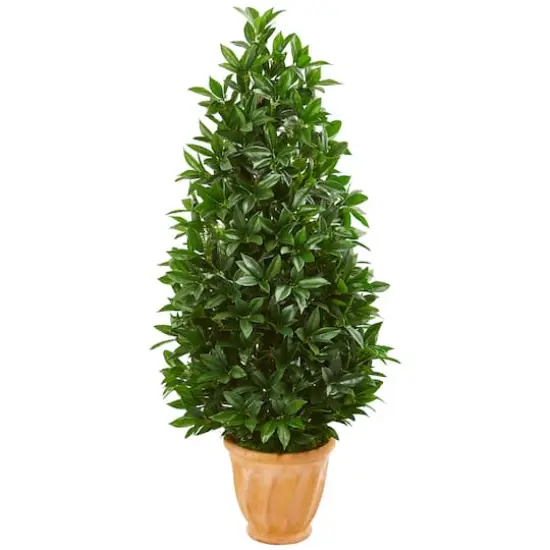 4.5ft. Bay Leaf Topiary Tree in Terra Cotta Planter {1}