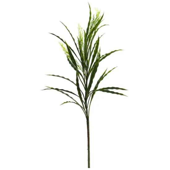 2.25ft. Vanilla Grass Plant, 24ct. {1}
