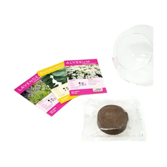 Glass Terrarium - Crystal Glass Garden {7}