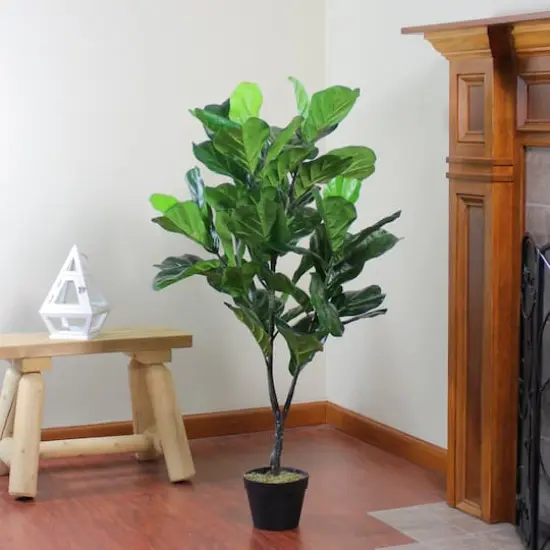 4 ft. Two-Tone Potted Wide Fiddle Leaf Floor Plant {5}