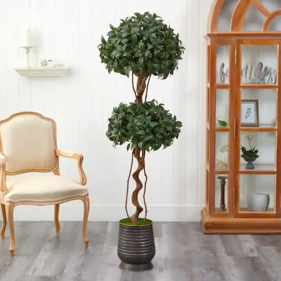 5.5ft. Sweet Bay Double Ball Topiary Tree in Ribbed Metal Planter {4}