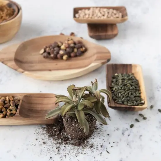 Hello Honey&reg; Acacia Wood Trays with Seagrass Tie, 4ct. {5}