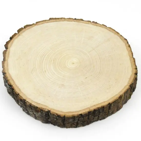 Wilson&reg; Enterprises Thick Large Basswood Round {1}