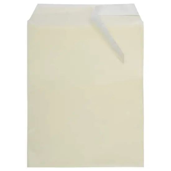 JAM Paper 8.93" x 11.25" Self Adhesive Closure Cello Sleeves, 100ct. Yellow {4}