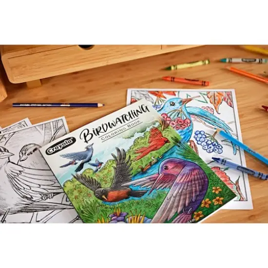Crayola&reg; Bird Watching Coloring Book {5}