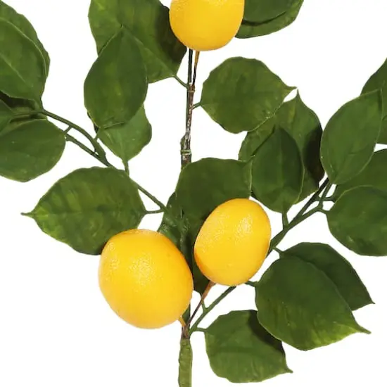 6ft. Green & Yellow Salal Leaf Lemon Garland {3}