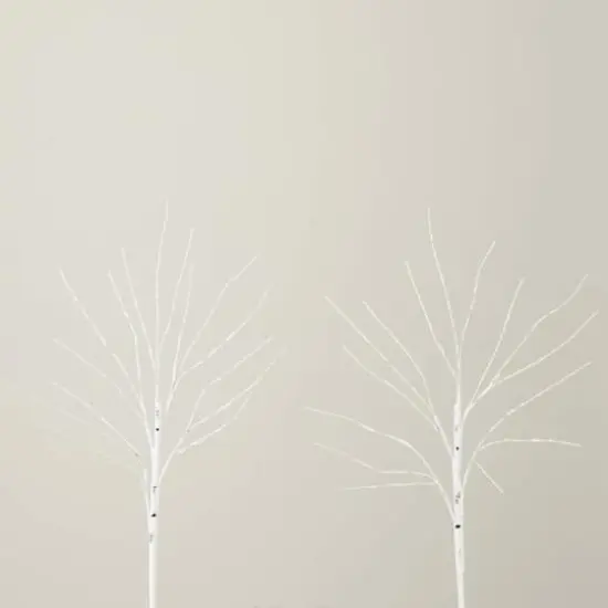 2 Pack 24in. Pre-Lit Artificial White Birch Branches, Warm White LED Lights {8}