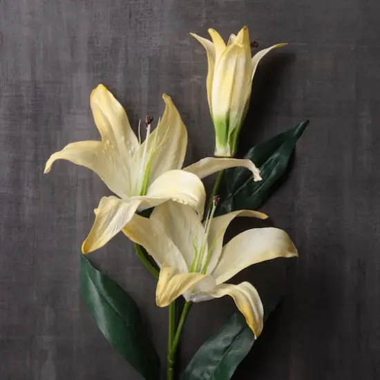 Casablanca Lily Stem by Ashland&reg; White {3}