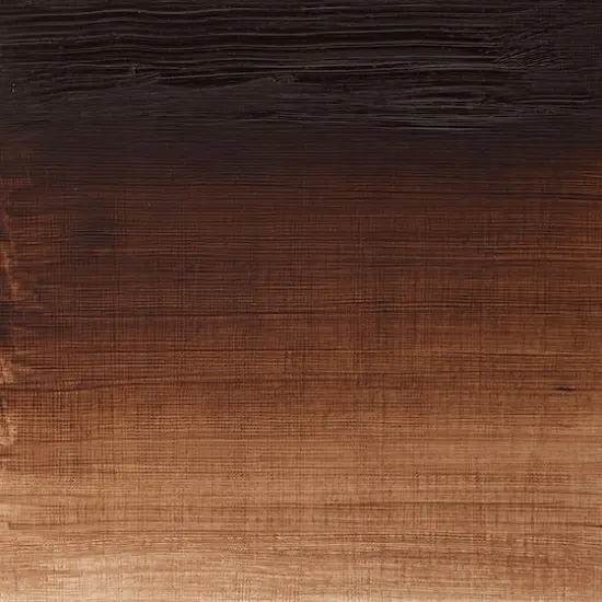 Winsor & Newton™ Winton 6.75oz. Oil Colour™ Paint Burnt Umber {4}