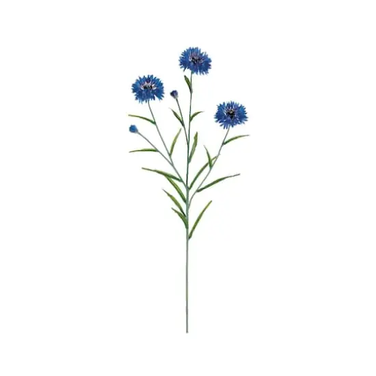 Blue Cornflower Spray  {1}